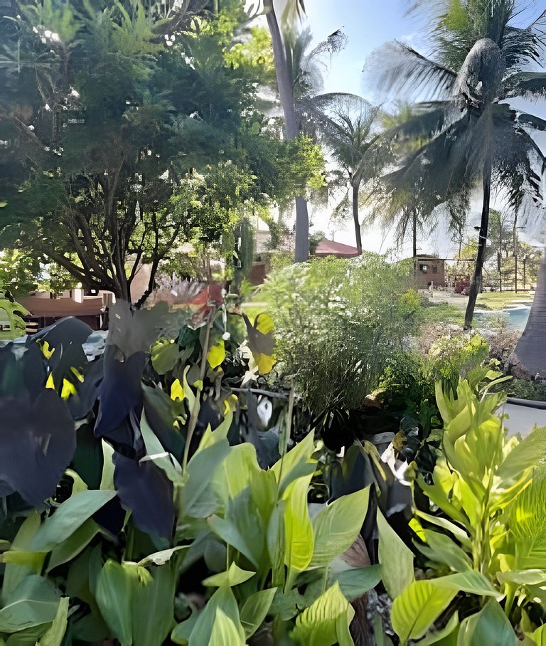 Casa Nossa Taiba onde familia e amigos vivem juntos.